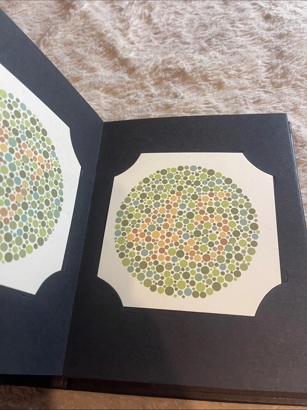 Book for Color Blindness  38 plates, latest edition